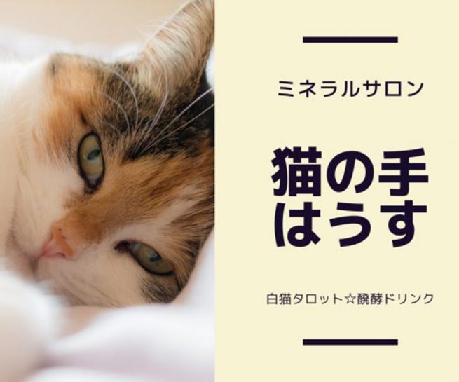 猫の手はうす